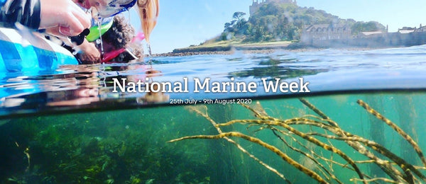 National Marine week